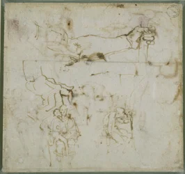 Estudio de un Brazo, c.1511